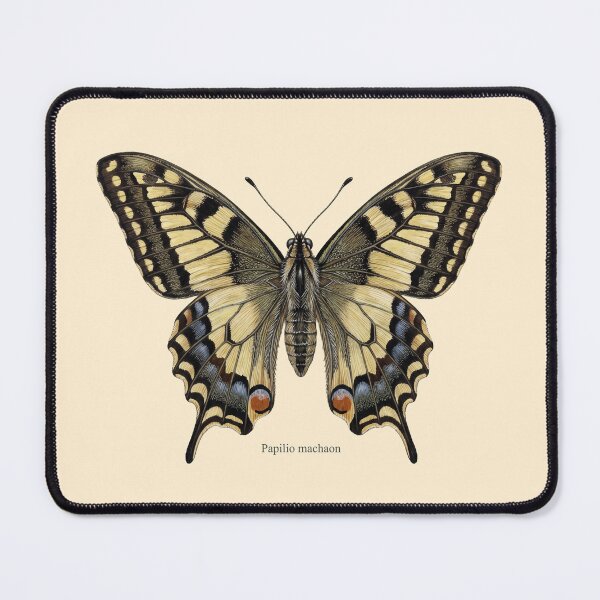 Item preview, The Surgeon’s Stinkhorn: Papilio Machaon Entomological Art Print designed and sold by FreiherrPK.