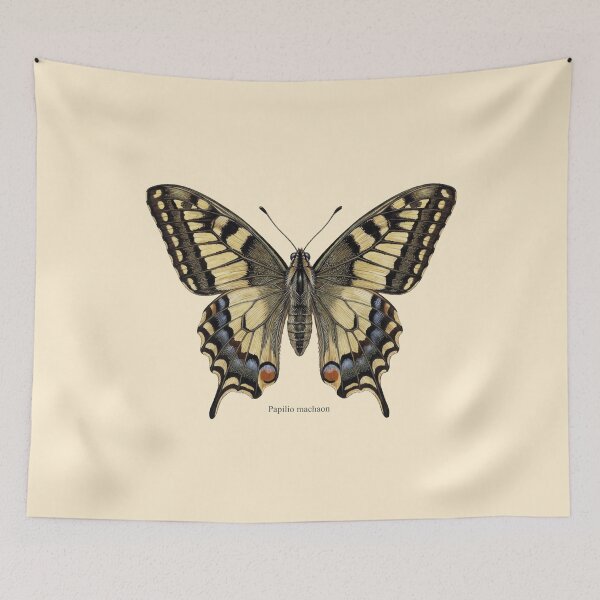 Item preview, The Surgeon’s Stinkhorn: Papilio Machaon Entomological Art Print designed and sold by FreiherrPK.