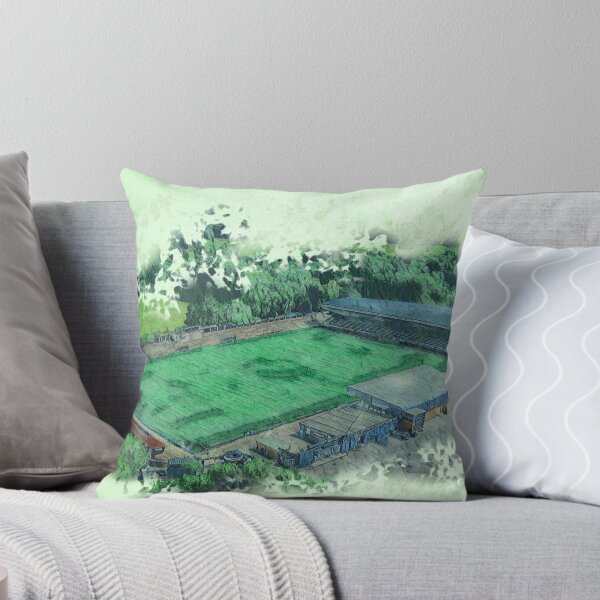 Item preview, Bromley FC - Hayes Lane Stadium designed and sold by ArtworkNorth.