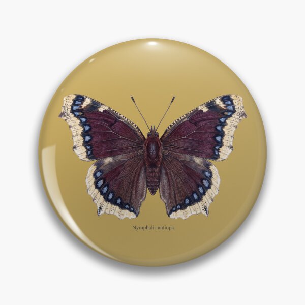 Item preview, The Drunken Monarch: Camberwell Beauty Entomological Art Print designed and sold by FreiherrPK.