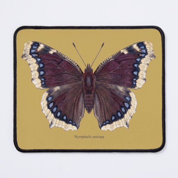 Item preview, The Drunken Monarch: Camberwell Beauty Entomological Art Print designed and sold by FreiherrPK.