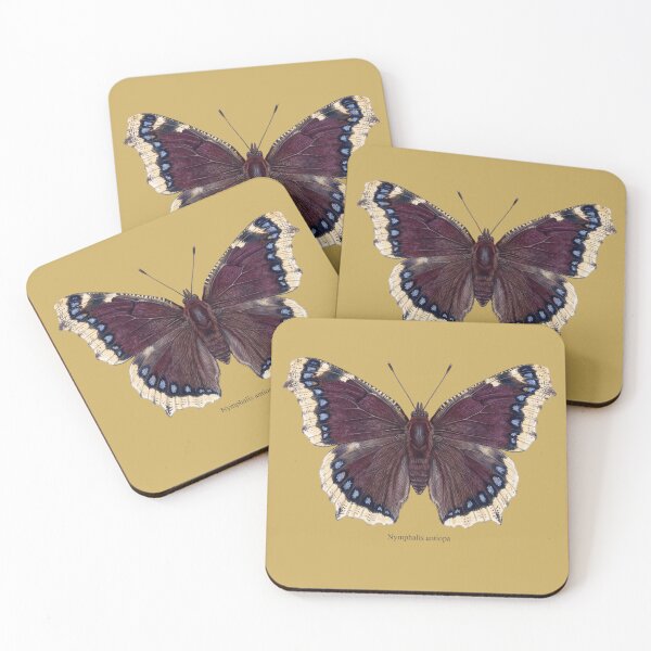 Item preview, The Drunken Monarch: Camberwell Beauty Entomological Art Print designed and sold by FreiherrPK.