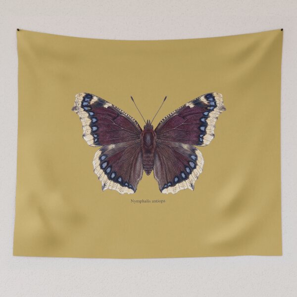 Item preview, The Drunken Monarch: Camberwell Beauty Entomological Art Print designed and sold by FreiherrPK.