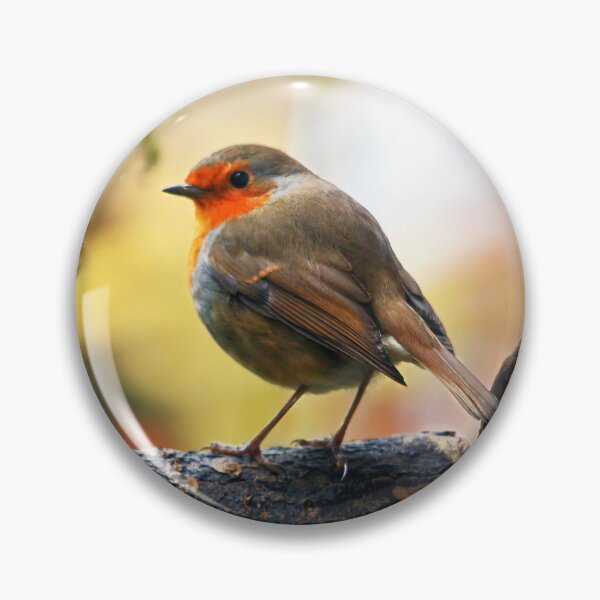 Item preview, Red Red Robin designed and sold by Murph's Images.