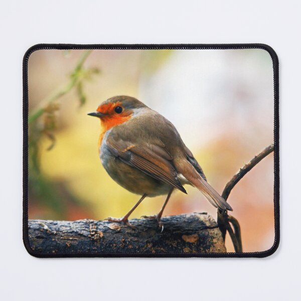 Item preview, Red Red Robin designed and sold by Murph's Images.