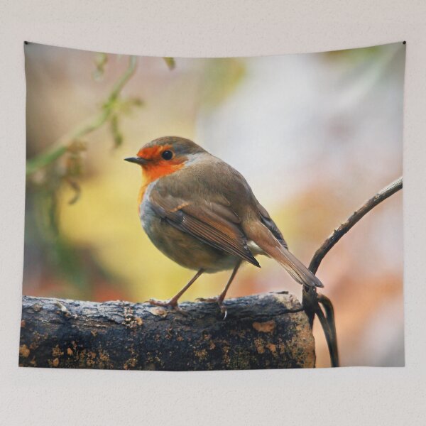Item preview, Red Red Robin designed and sold by Murph's Images.
