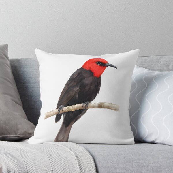 Item preview, Cardinal Myzomela (Myzomela cardinalis) designed and sold by HOMETOWN86.