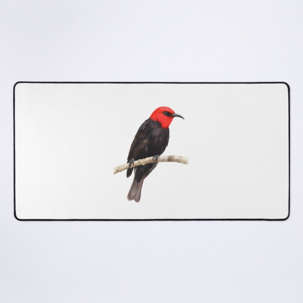 Item preview, Cardinal Myzomela (Myzomela cardinalis) designed and sold by HOMETOWN86.