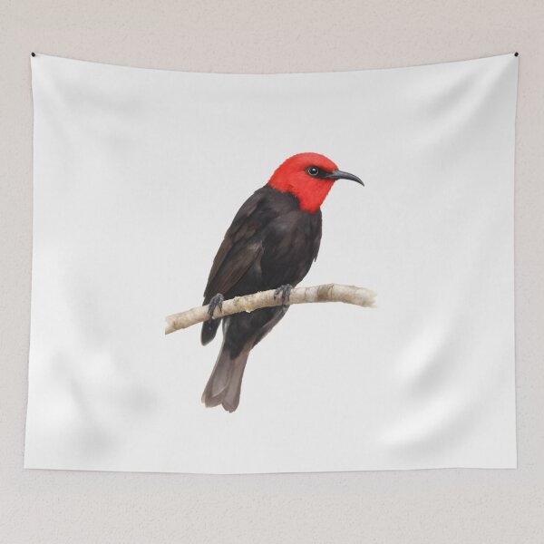 Item preview, Cardinal Myzomela (Myzomela cardinalis) designed and sold by HOMETOWN86.