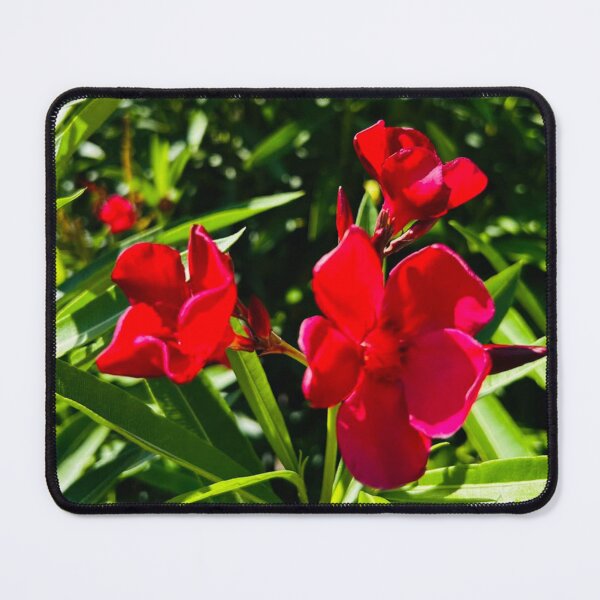 Item preview, Flaming Flower designed and sold by FloralAbode.