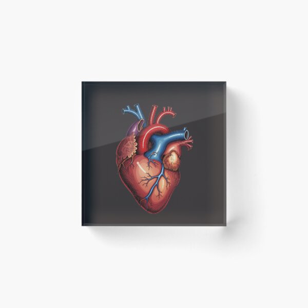 Item preview, Anatomical Heart Illustration – Colorful Human Heart Medical Art designed and sold by Mousy17.