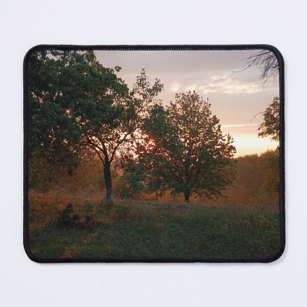 Item preview, Golden Hour Forest Sunset Landscape Photography designed and sold by Nature Moments.