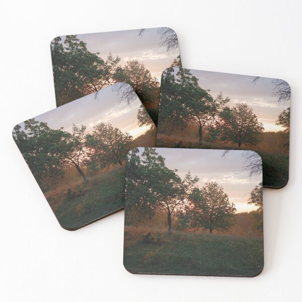 Item preview, Golden Hour Forest Sunset Landscape Photography designed and sold by Nature Moments.