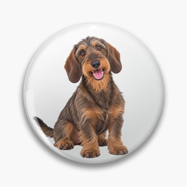 Item preview, Wire Haired Dachshund Dog designed and sold by BackgroundND.
