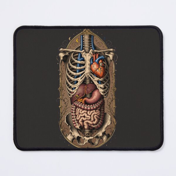 Item preview, Human Anatomy Vintage Gothic Illustration – Full Body Internal Organs designed and sold by Mousy17.