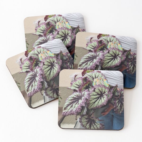 Item preview, Begonia designed and sold by Prospettivafutura .