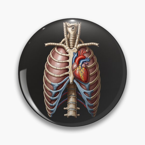 Item preview, Vintage Anatomical Ribcage with Detailed Human Heart designed and sold by Mousy17.