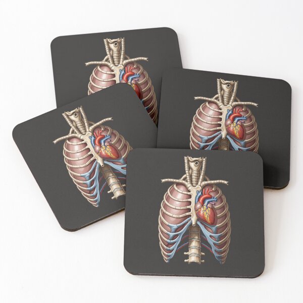 Item preview, Vintage Anatomical Ribcage with Detailed Human Heart designed and sold by Mousy17.
