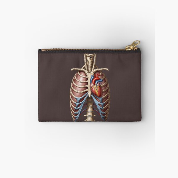 Item preview, Vintage Anatomical Ribcage with Detailed Human Heart designed and sold by Mousy17.
