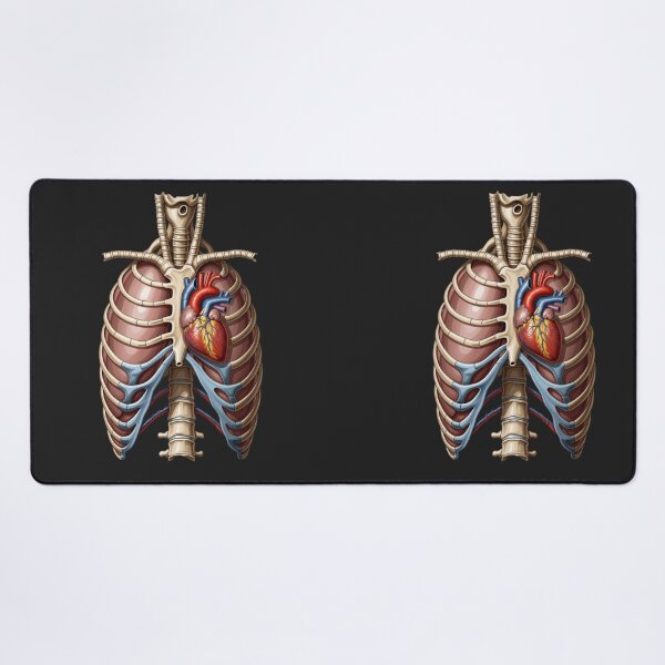 Item preview, Vintage Anatomical Ribcage with Detailed Human Heart designed and sold by Mousy17.