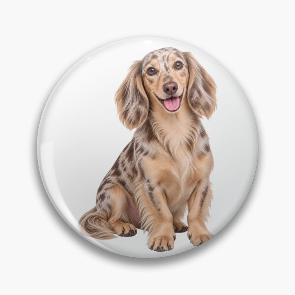 Item preview, Long haired dachshund Merle Dappled Dog designed and sold by BackgroundND.