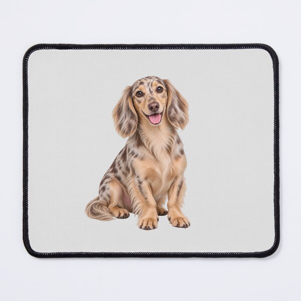 Item preview, Long haired dachshund Merle Dappled Dog designed and sold by BackgroundND.