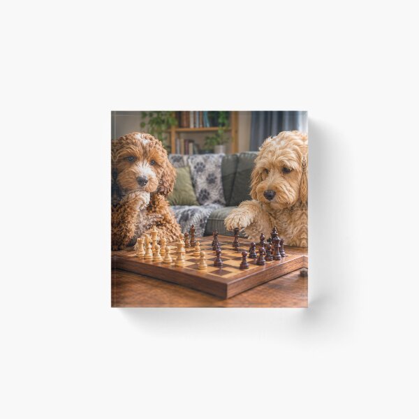 Item preview, Cockapoo Chess Match in a Cozy Living Room designed and sold by Paul Thompson Photography.
