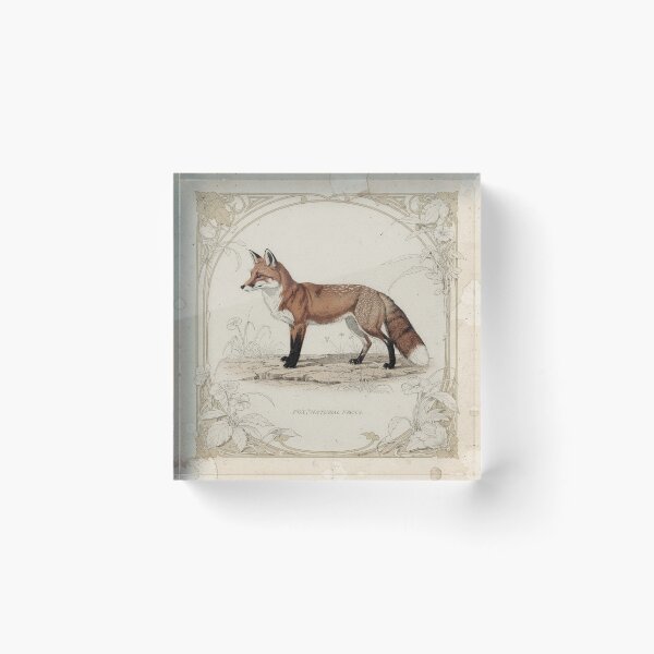 Item preview, Vintage Red Fox Natural-History Specimen Plate in Gilt designed and sold by PictorialWhimsy.