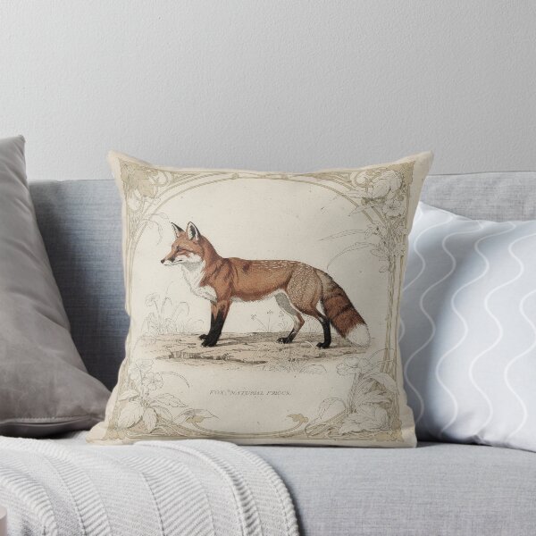 Item preview, Vintage Red Fox Natural-History Specimen Plate in Gilt designed and sold by PictorialWhimsy.