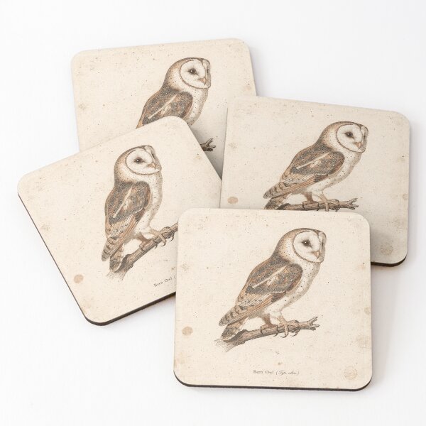 Item preview, Vintage Barn Owl Ornithology Plate in Copper designed and sold by PictorialWhimsy.