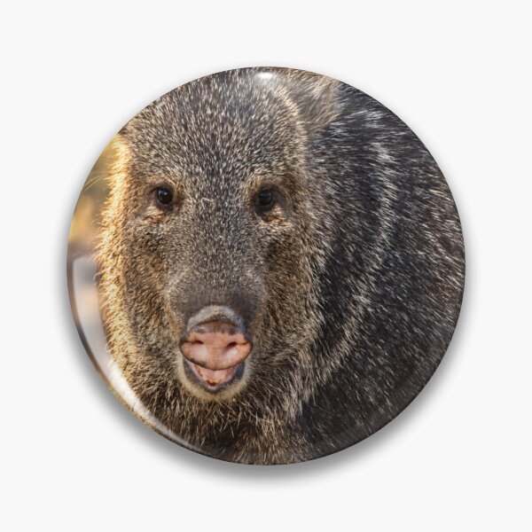 Item preview, The Happiest Javelina designed and sold by Kimberly Palmer.