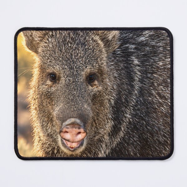 Item preview, The Happiest Javelina designed and sold by Kimberly Palmer.