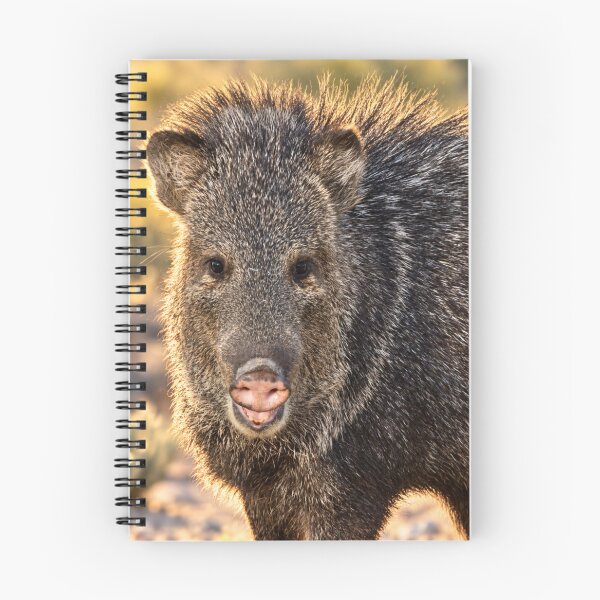 Item preview, The Happiest Javelina designed and sold by Kimberly Palmer.
