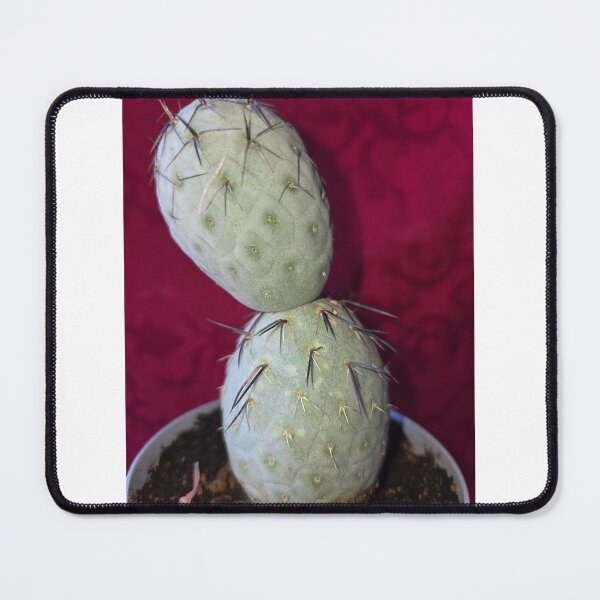 Item preview, Cactus designed and sold by Prospettivafutura .