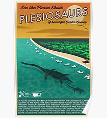 Pinto Plesiosaurs Poster