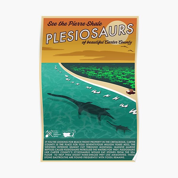 Pinto Plesiosaurs Poster