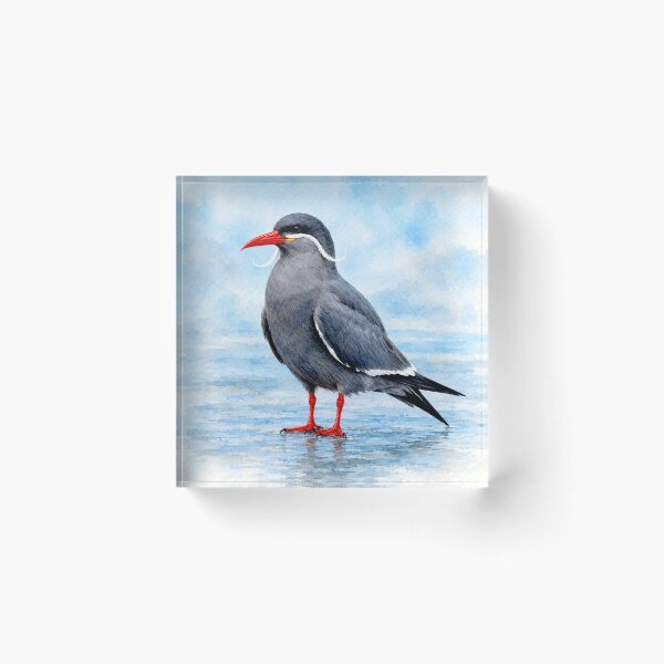 Item preview, Exotic Beautiful Birds - inca tern #1 designed and sold by Helios Be. Lavsh.