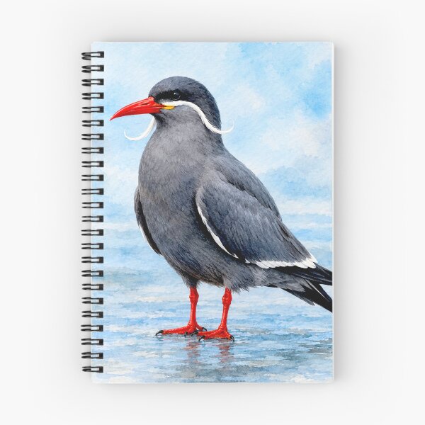 Item preview, Exotic Beautiful Birds - inca tern #1 designed and sold by Helios Be. Lavsh.