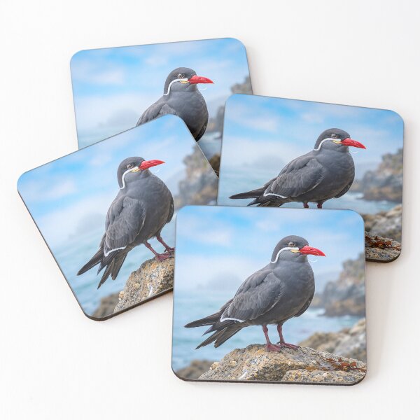 Item preview, Exotic Beautiful Birds - inca tern #4 designed and sold by Helios Be. Lavsh.