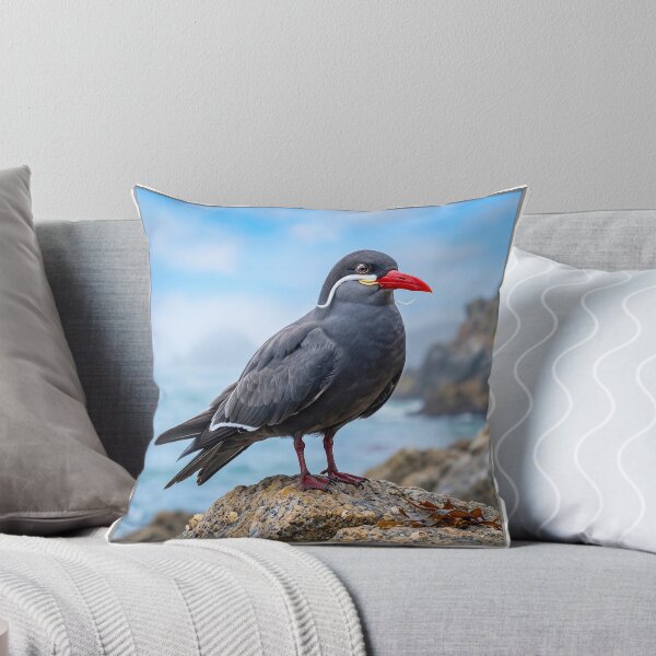 Item preview, Exotic Beautiful Birds - inca tern #4 designed and sold by Helios Be. Lavsh.