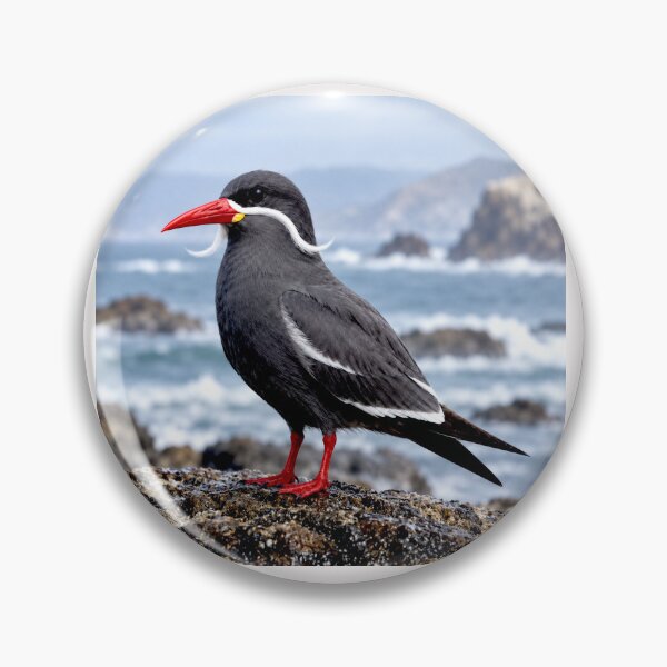 Item preview, Exotic Beautiful Birds - inca tern #5 designed and sold by Helios Be. Lavsh.