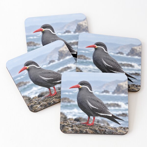Item preview, Exotic Beautiful Birds - inca tern #5 designed and sold by Helios Be. Lavsh.