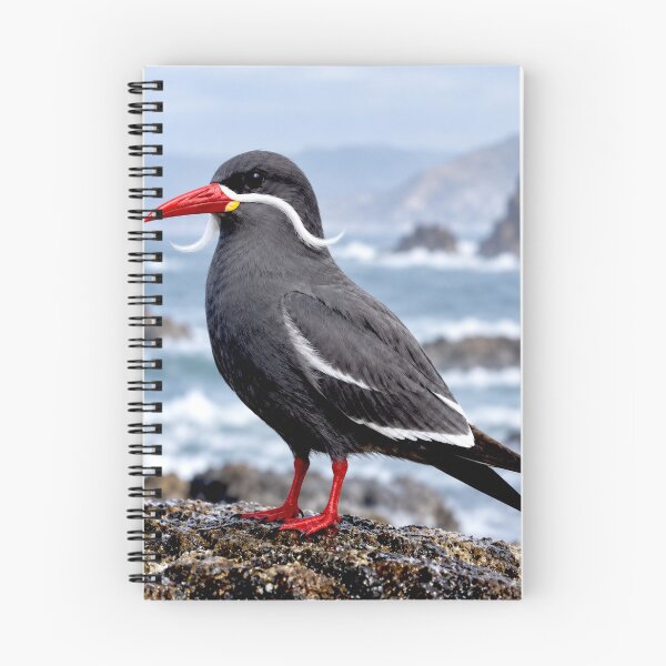 Item preview, Exotic Beautiful Birds - inca tern #5 designed and sold by Helios Be. Lavsh.