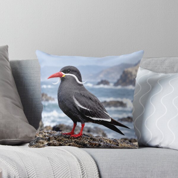 Item preview, Exotic Beautiful Birds - inca tern #5 designed and sold by Helios Be. Lavsh.