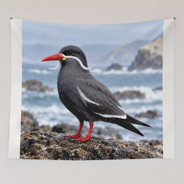 Item preview, Exotic Beautiful Birds - inca tern #5 designed and sold by Helios Be. Lavsh.