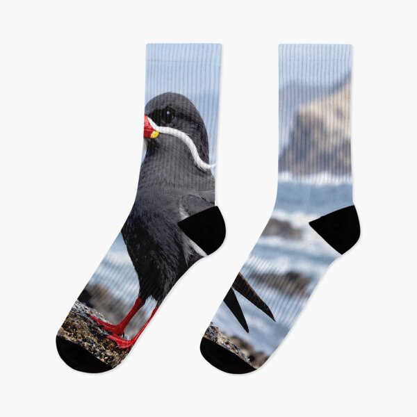 Item preview, Exotic Beautiful Birds - inca tern #5 designed and sold by Helios Be. Lavsh.