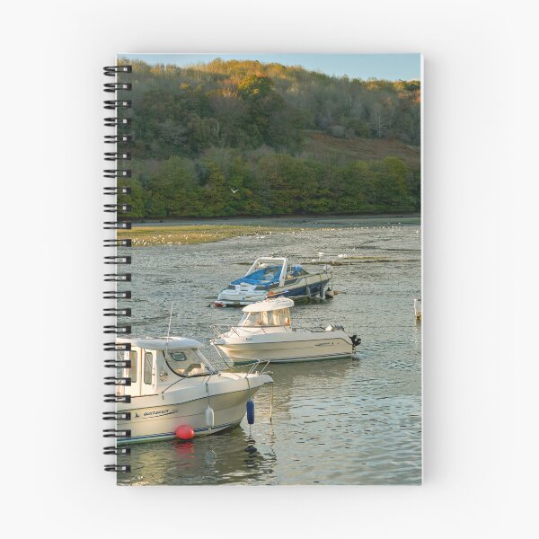 Item preview, Boats Moored on East Looe River designed and sold by VnGphoto.