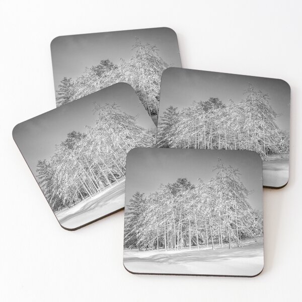 Item preview, Snow-covered pines in Kohler Wisconsin black and white designed and sold by TerraMediaLLC.