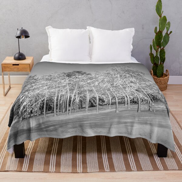 Item preview, Snow-covered pines in Kohler Wisconsin black and white designed and sold by TerraMediaLLC.