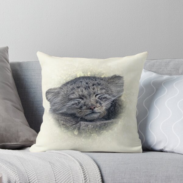 Item preview, Manul cub designed and sold by Guardi71.